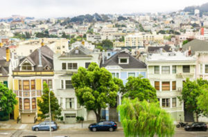 Most Recommended San Francisco Street Trees