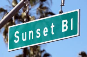 How To Find The Iconic Palm Tree Street Los Angeles