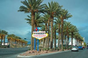 10 Best Las Vegas Trees